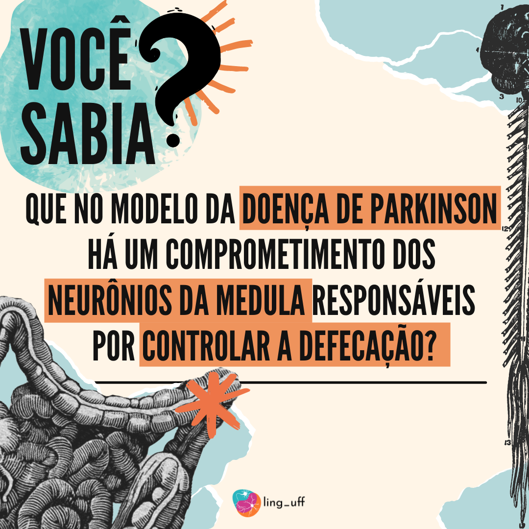 Você sabia ? - Posts